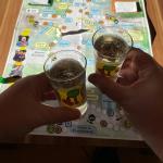 MONTE Brettspiel.jpg